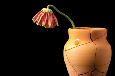 Illustration sip - Image 1