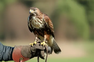 Illustration lunes - Image 1