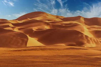 Illustration smoothed - Image 2