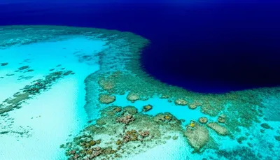 Illustration shallows - Image 1