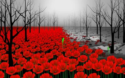 Illustration blood - Image 1