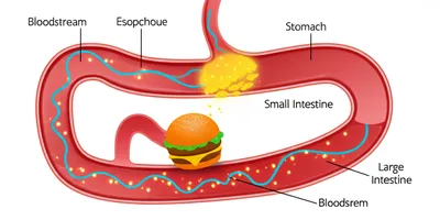 Illustration digests - Image 1