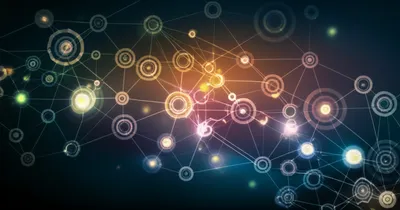 Illustration reticulum - Image 1