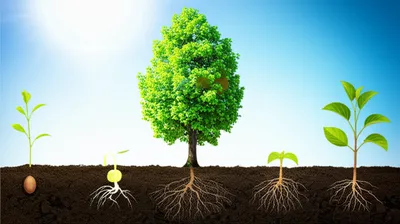 Illustration proving - Image 1