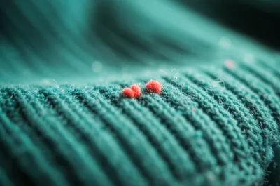 Illustration bobble - Image 1