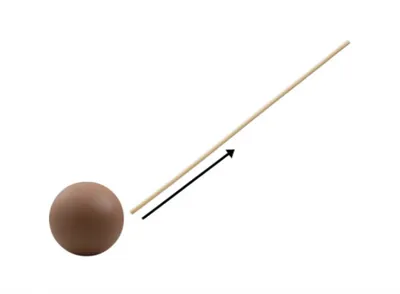 Illustration whip - Image 1