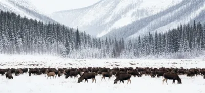 Illustration yards - Image 1