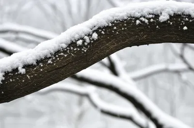 Illustration gave - Image 1