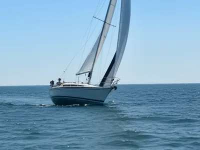 Illustration bate - Image 1