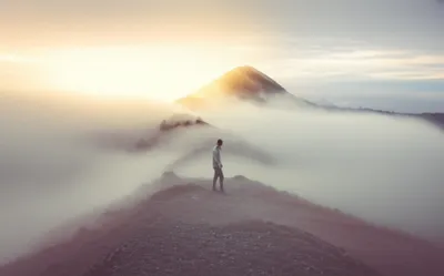 Illustration mid - Image 1