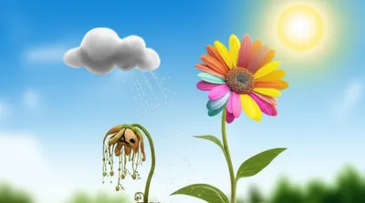 Illustration sticks - Image 1