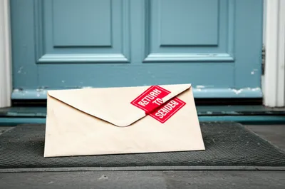 Illustration nixie - Image 1