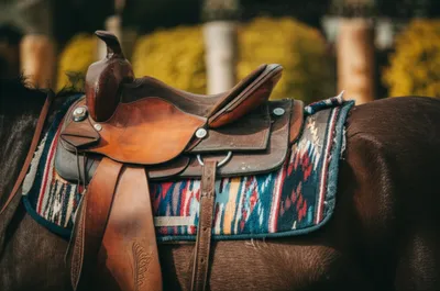 Illustration saddlecloth