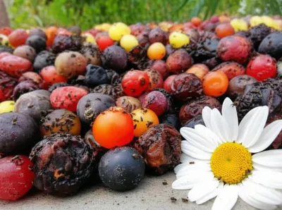 Illustration repulsive