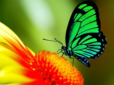 Illustration allures - Image 1