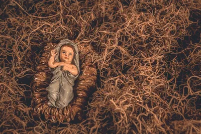 Illustration nativity - Image 2