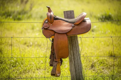 Illustration buffer - Image 1