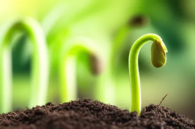 Illustration shoots - Image 1