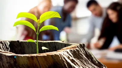 Illustration legacies - Image 1