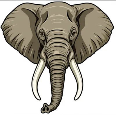 Illustration elephant