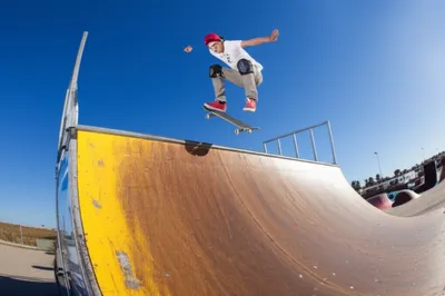 Illustration verts - Image 1