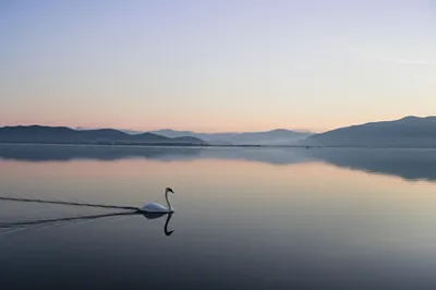 Illustration quietness - Image 1