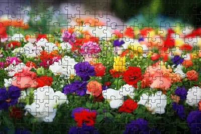 Illustration frames - Image 1