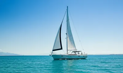 Illustration bucks - Image 1