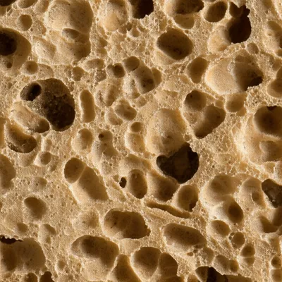 Illustration alveolus