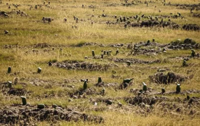 Illustration cluster - Image 1