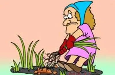 Illustration eradicate - Image 2