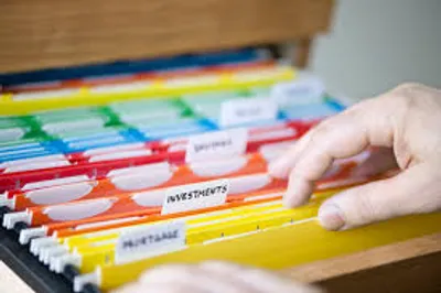 Illustration organized - Image 2