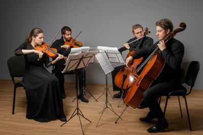 Hình ảnh minh họa quartets - Ảnh 1