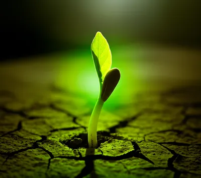 Illustration medicines - Image 1