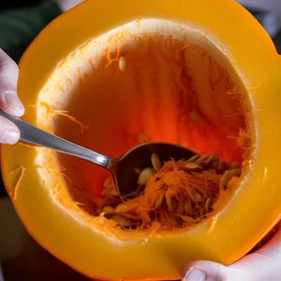 Illustration hollowing