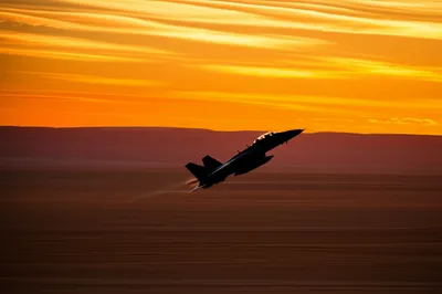 Illustration sortie - Image 1