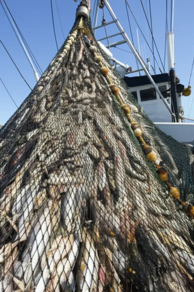 Illustration shots - Image 1