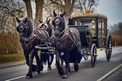 Illustration chaperon - Image 1