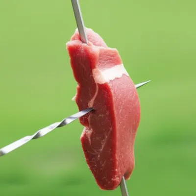 Illustration spit - Image 1