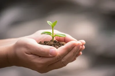 Illustration complying - Image 1