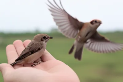 Illustration taken - Image 1