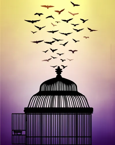 Illustration releasing - Image 1