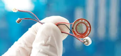 Illustration bug - Image 2