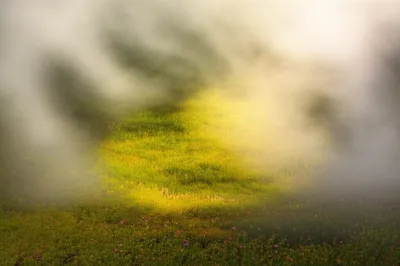 Illustration clearings - Image 1