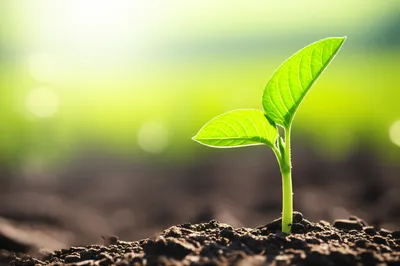 Illustration shoot - Image 1