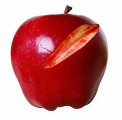 Illustration scotch - Image 1