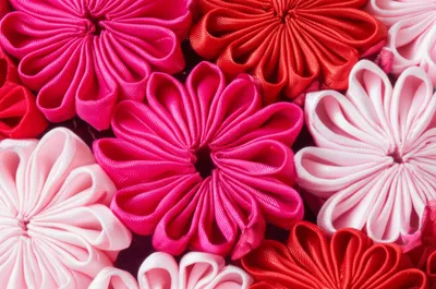 Illustration rosettes - Image 1