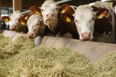 Illustration winders - Image 1