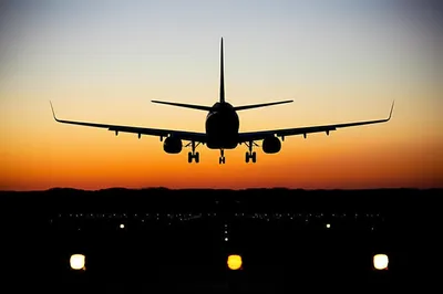 Illustration arrives - Image 1