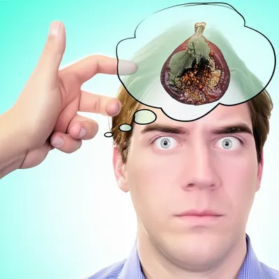 Illustration figging - Image 1